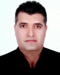 حامد نایب زاده